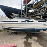 WhatsApp Image 2025-10-19 at 13.27.43_0dc191fa