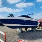 WhatsApp Image 2026-03-17 at 10.25.46 (6)